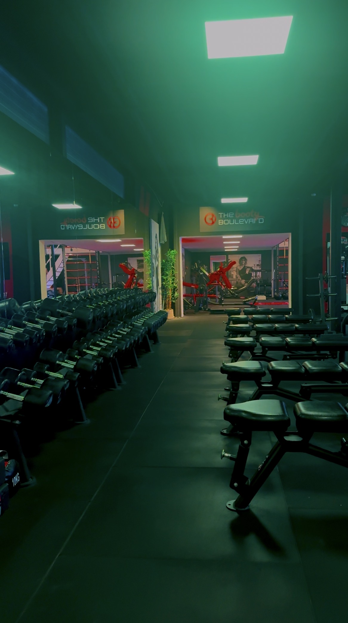 Oldschool-gym 24/7 Calisthenic