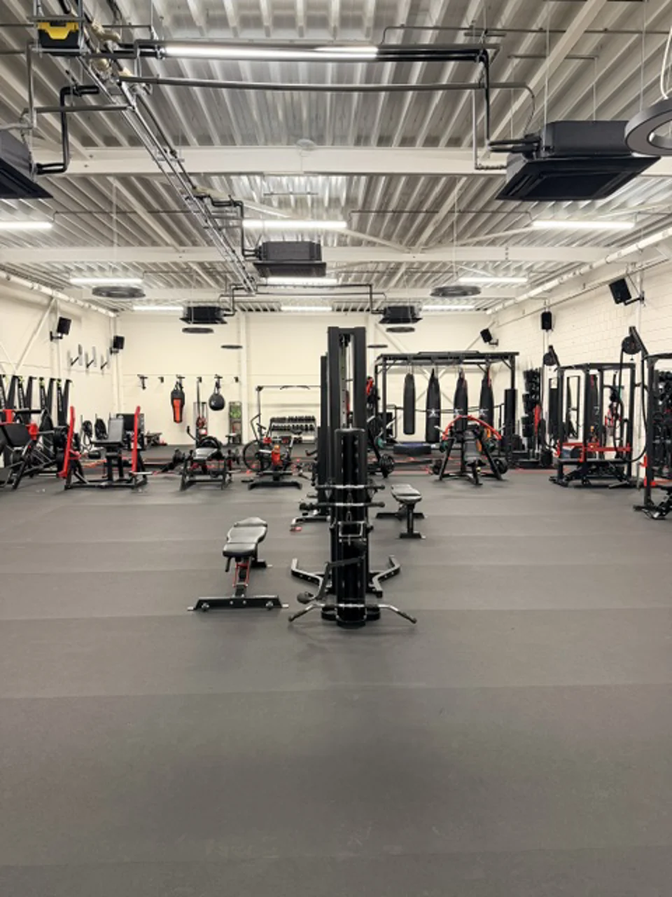 Jan Bel personal training